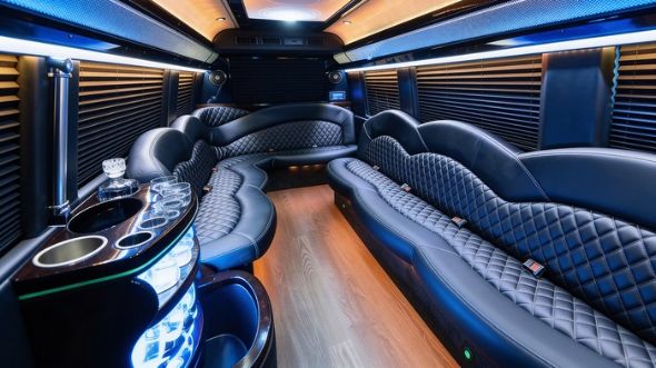 norman sprinter limousine interior